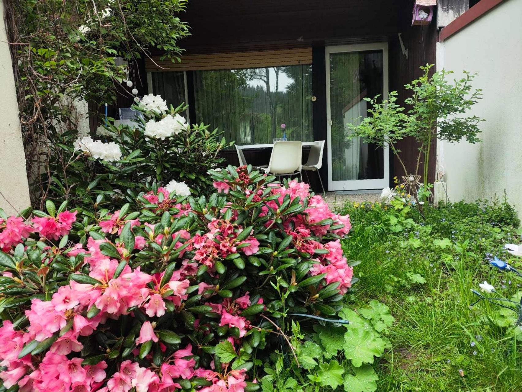 Ferienwohnung Schoene Wohnung 2D-Gebaeude Mit Mini-Garten Schönwalde المظهر الخارجي الصورة